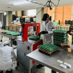 Importancia del picking y packing para garantizar la satisfacción del cliente final.